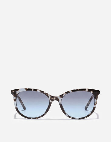 Dolce & Gabbana Everyday Sunglasses Blue havana VG4540VP38F