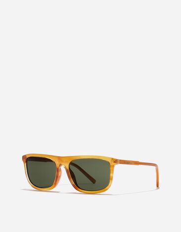 Dolce & Gabbana Everyday Sunglasses Transp camel on striped ginger VG4542VP371