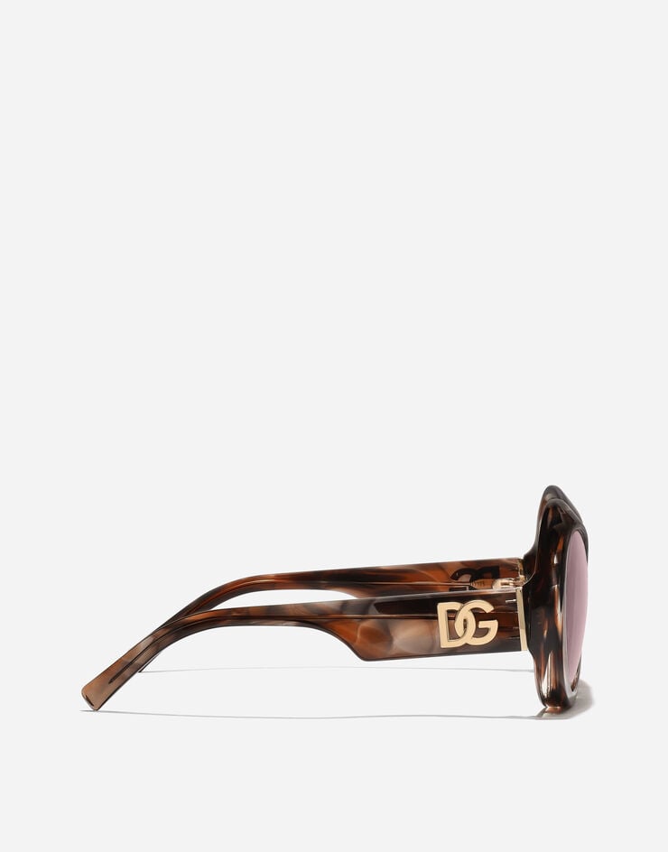 Dolce & Gabbana Re-Edition Sunglasses Camel havana VG4550VP084