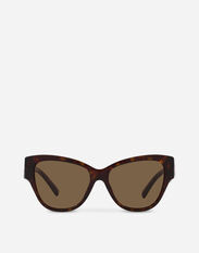 Dolce & Gabbana DG Logo sunglasses Brown VG4405VP513