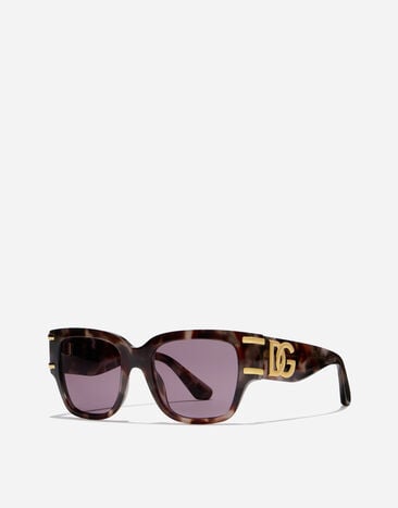 Dolce & Gabbana DG Griffe Sunglasses Violet havana VG4563VP8LA