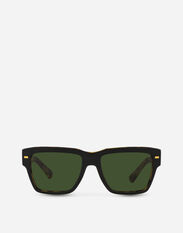 Dolce & Gabbana Lusso Sartoriale Sunglasses Brown VG446DVP273