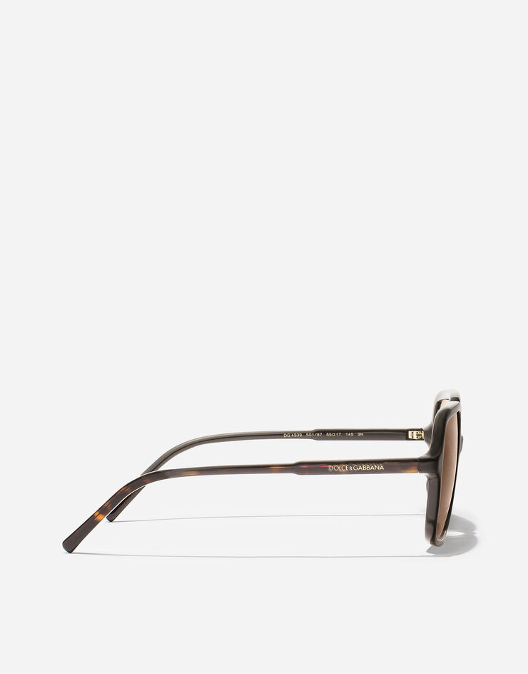 Dolce & Gabbana DG Everyday Sunglasses Havana VG4539VP273
