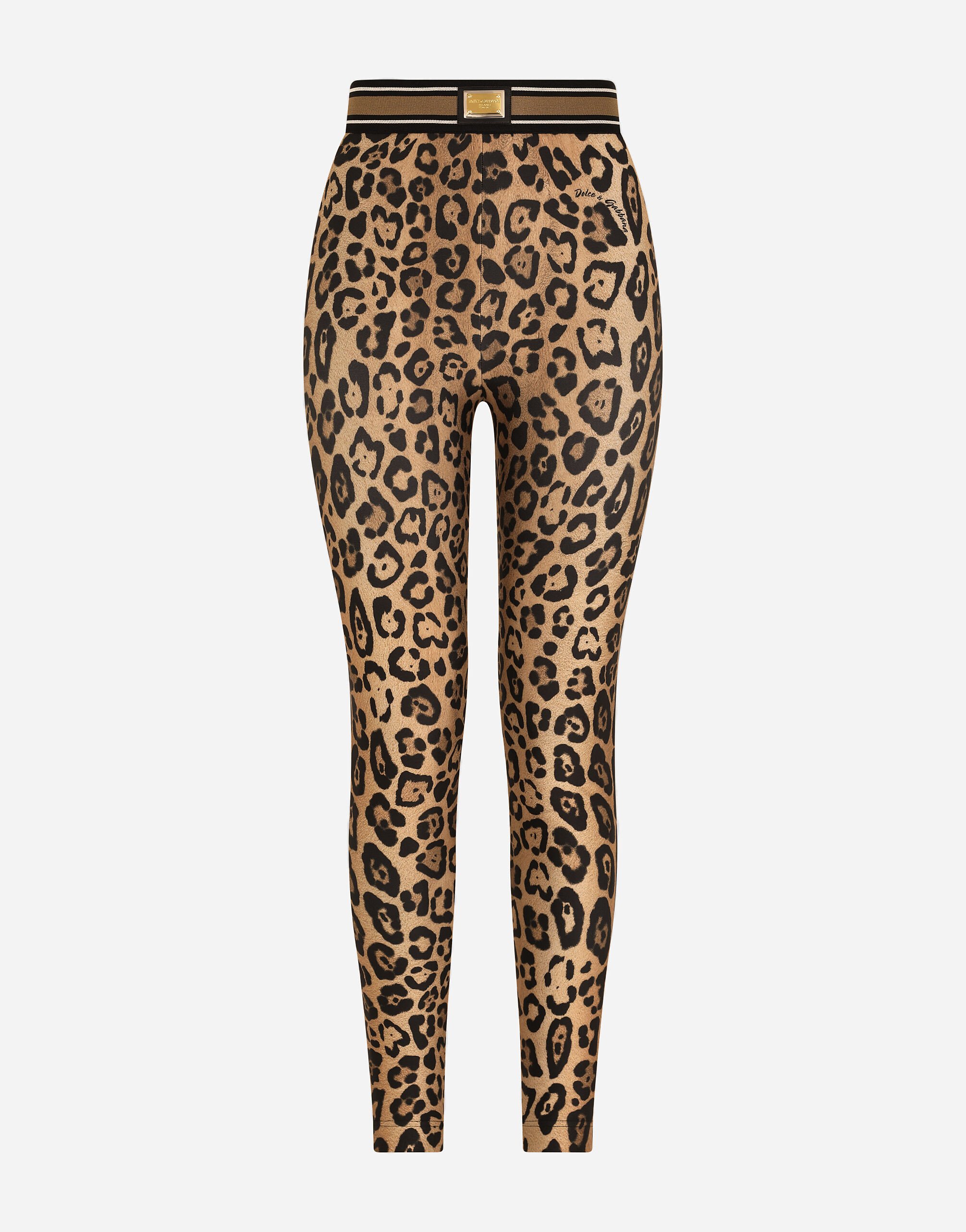 Dolce gabbana on sale leopard tights