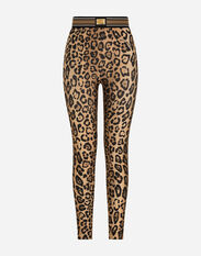 Dolce & Gabbana Leopard-print spandex/jersey leggings Multicolor I7AAJWG7BPT