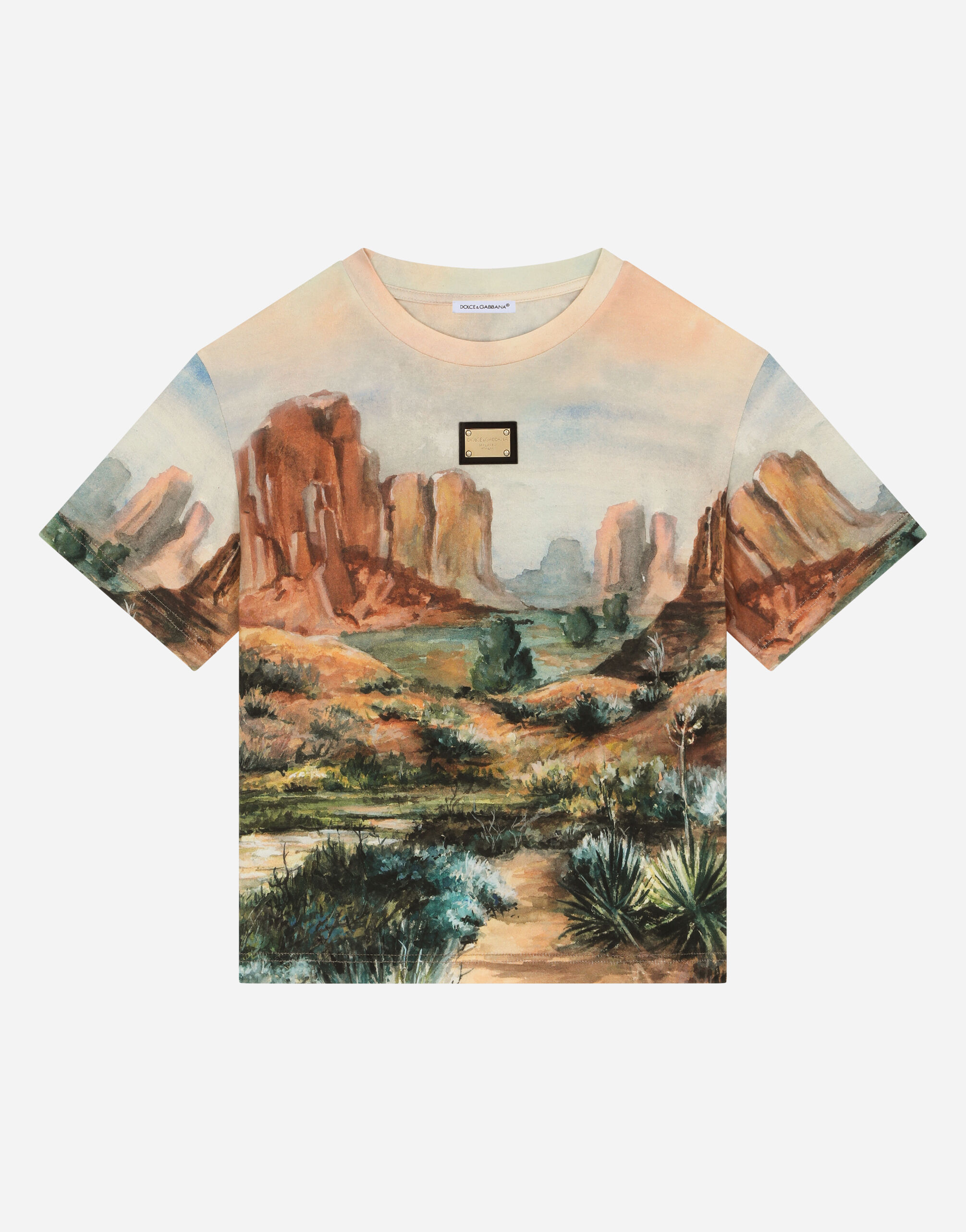 Dolce & Gabbana Jersey T-shirt with canyon print and logo tag Brown L4JWFQG7L1Z