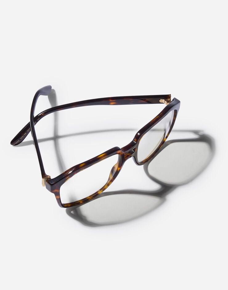 Dolce & Gabbana Everyday Sunglasses Dolce & Gabbana Everyday Sunglasses Havana VG4568VP2SB