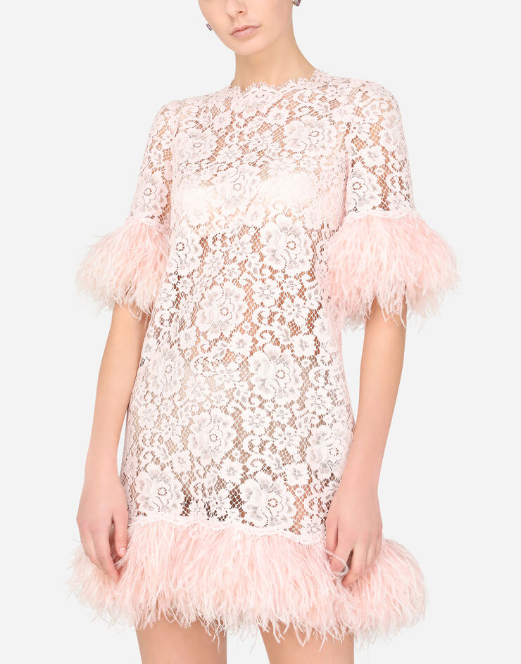 Dolce & Gabbana  ROSA F6I7EZHLMEA