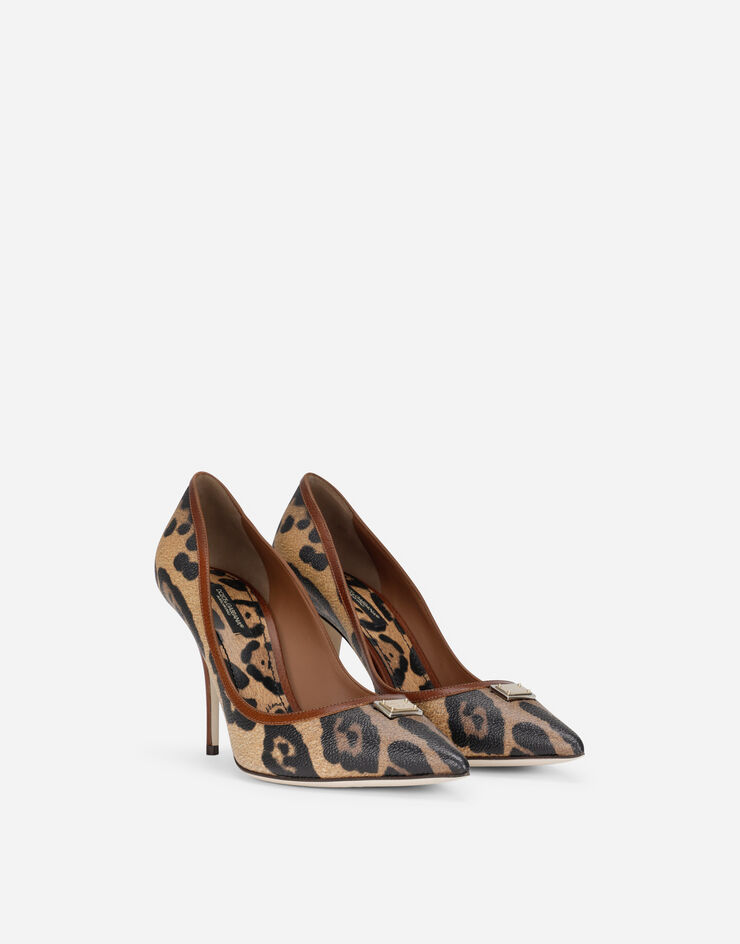 Dolce & Gabbana  Multicolor CD1583AW384