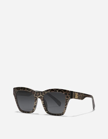 Dolce & Gabbana DG Crossed Sunglasses Leo brown on black VG4512VP387
