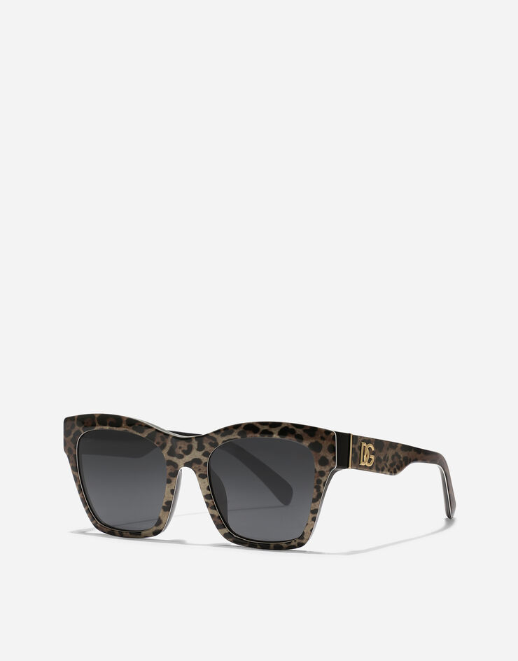 Dolce & Gabbana DG Crossed Sunglasses Leo brown on black VG4512VP387
