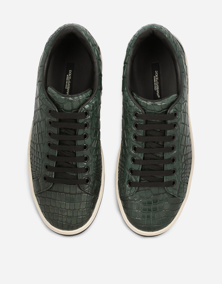 Dolce & Gabbana Hand-polished crocodile skin Roma sneakers Green CS1583A2Q18