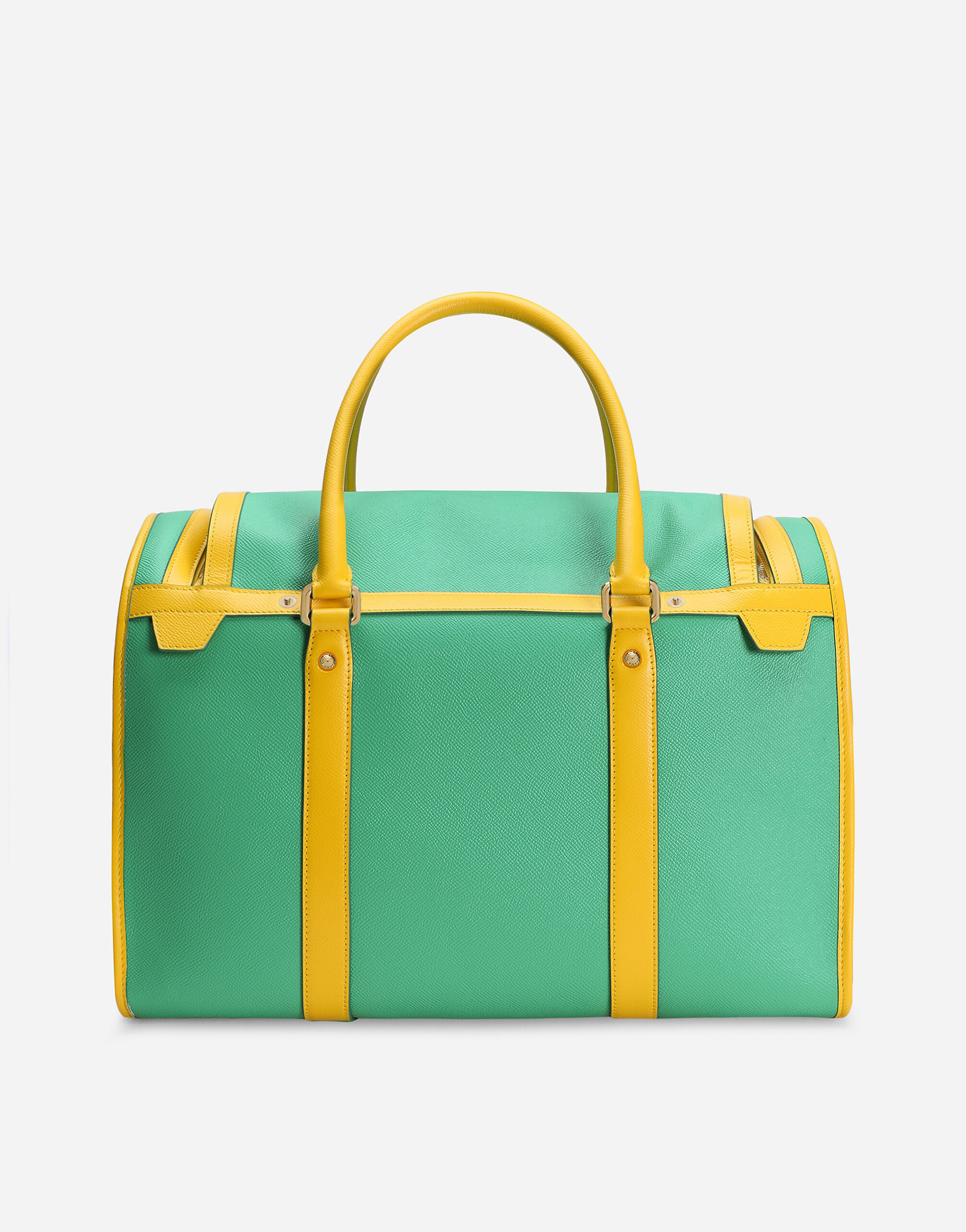 Dolce and gabbana dog bag top