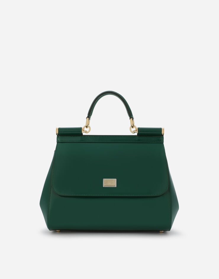 Dolce & Gabbana BORSA A MANO Green BB6002A1037