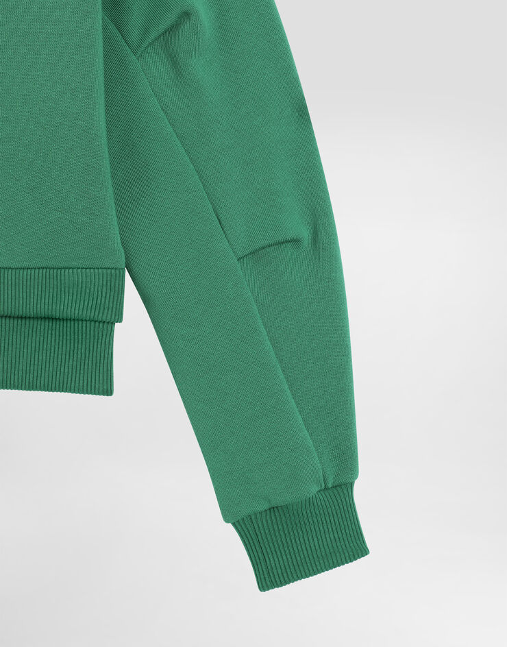 Dolce & Gabbana Round-neck sweatshirt with flower and DG logo Green L5JWBSG7O2B