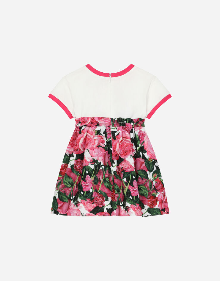 Dolce & Gabbana Poplin and jersey dress with rose print over a white background Print L2JD9HG7NZZ