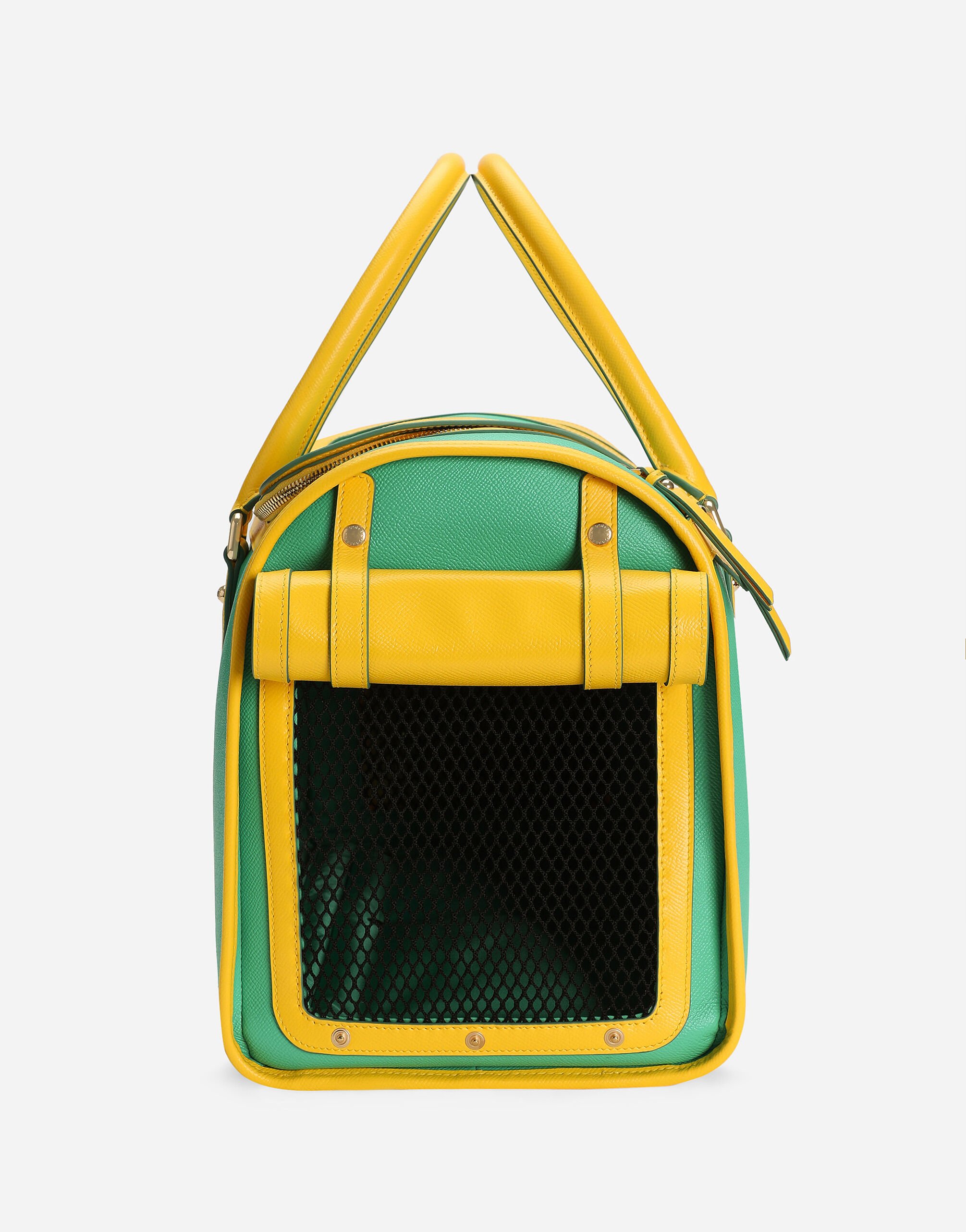 Dog carrier in Green Dolce Gabbana US