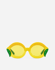 Dolce & Gabbana Farmer Sunglasses Multicolor LB3L58G7KU4