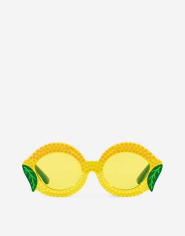 Dolce & Gabbana Farmer Sunglasses Multicolor LBKH85JACV2