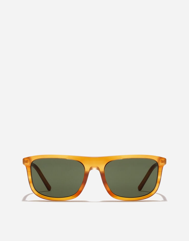 Dolce & Gabbana Everyday Sunglasses Dolce & Gabbana Everyday Sunglasses Transp camel on striped ginger VG4542VP371