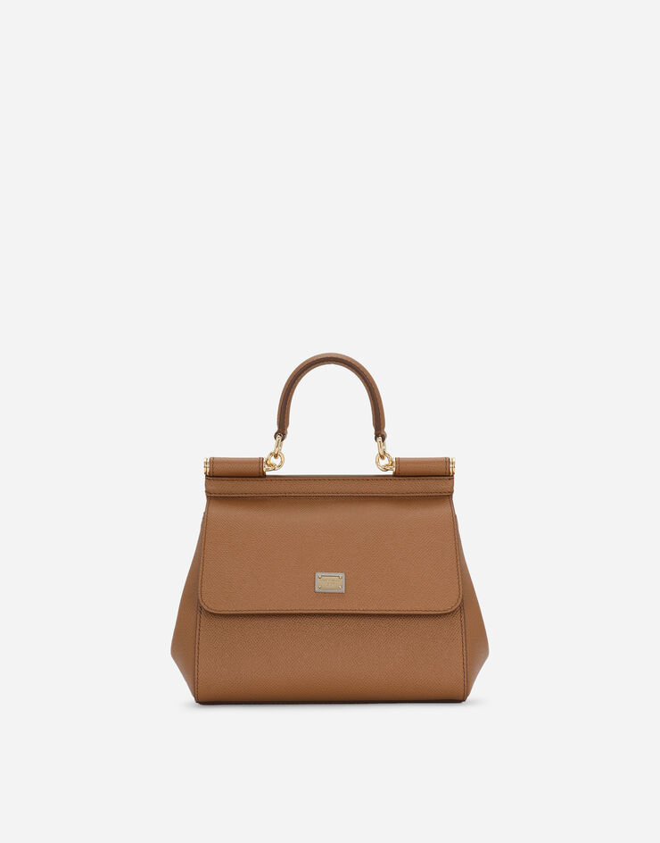Dolce & Gabbana BORSA A MANO BROWN BB6003A1001