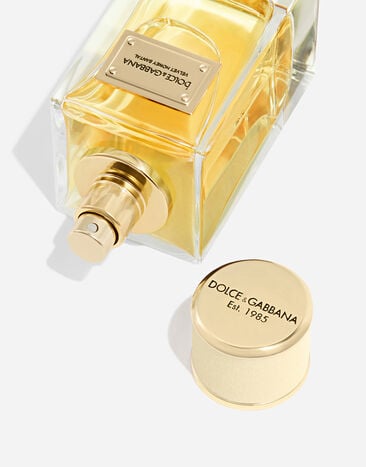 Dolce & Gabbana Velvet Honey Santal Eau De Parfum - VT02XVVT000