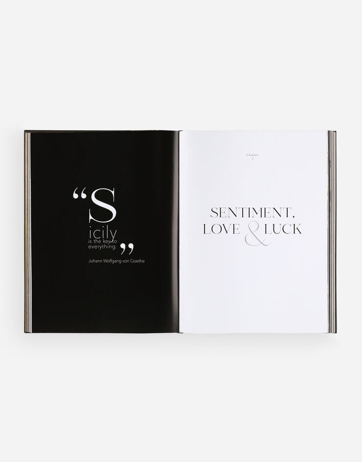 Dolce & Gabbana Dolce & Gabbana Alta Gioielleria: Masterpieces of High Jewellery Multicolor VL1127VLTW2