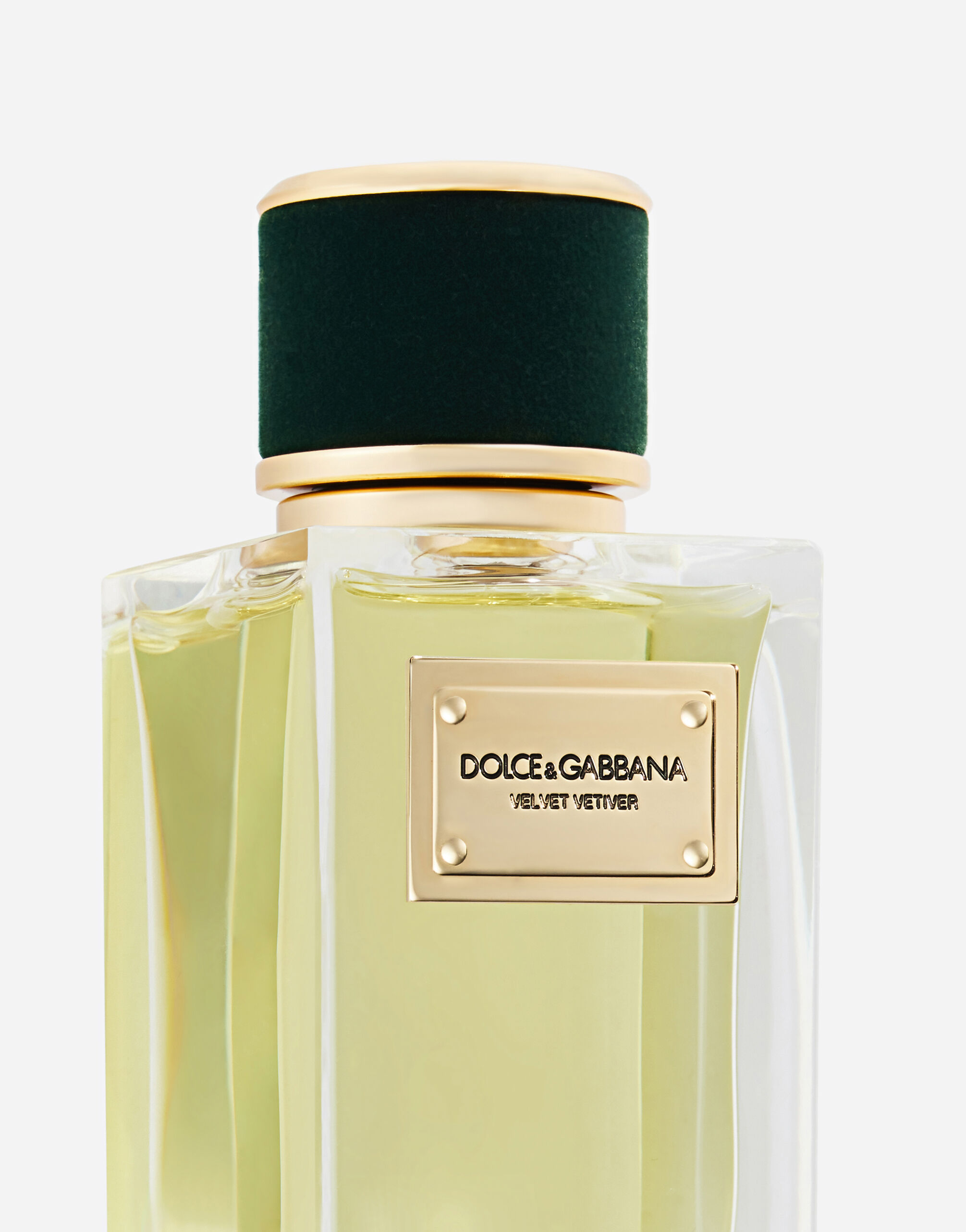 Dolce and gabbana velvet collection hotsell
