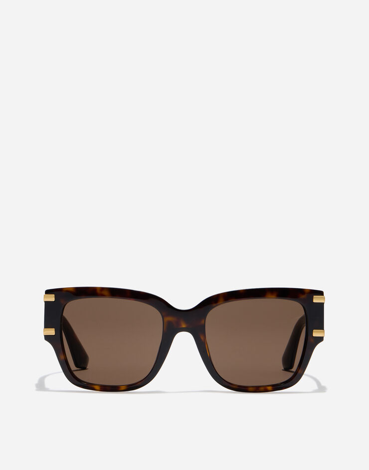 Dolce & Gabbana DG Griffe Sunglasses havana VG4563VP273