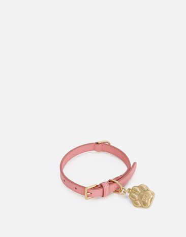 Dolce & Gabbana Dog collar Print BD0009A6456