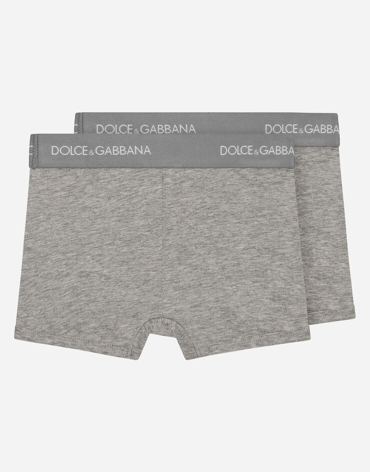 Dolce&Gabbana Boxer two-pack with branded elastic Grey L4J701G7OCT
