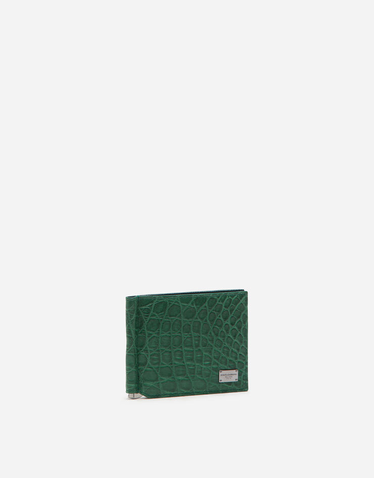 Dolce & Gabbana Crocodile bifold wallet with money clip and branded tag Green BP1920A2123