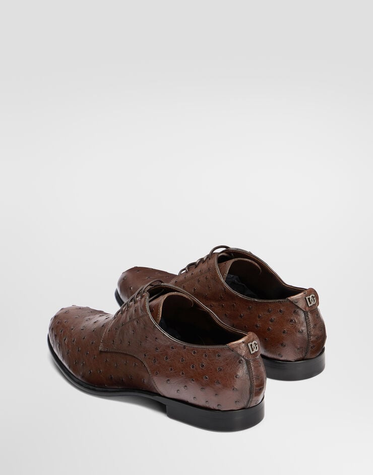 Dolce & Gabbana Ostrich leather derby shoes Dolce & Gabbana Ostrich leather derby shoes Brown A10939A8M90