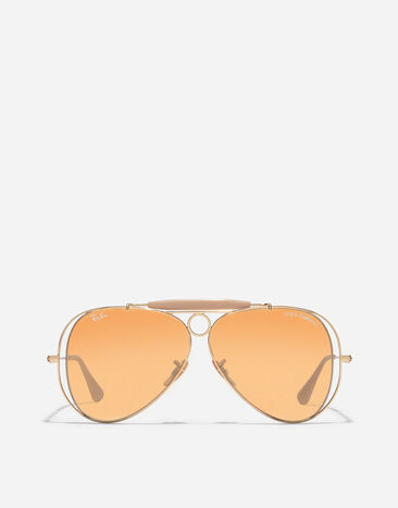 Dolce & Gabbana Dolce&Gabbana X RAY-BAN Sunglasses Arista VG3138VM017