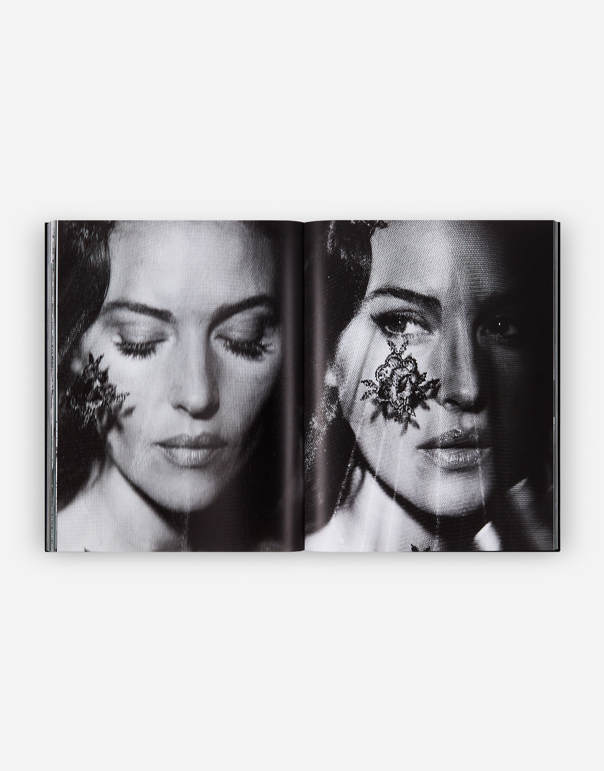Monica in Multicolor | Dolce&Gabbana® US