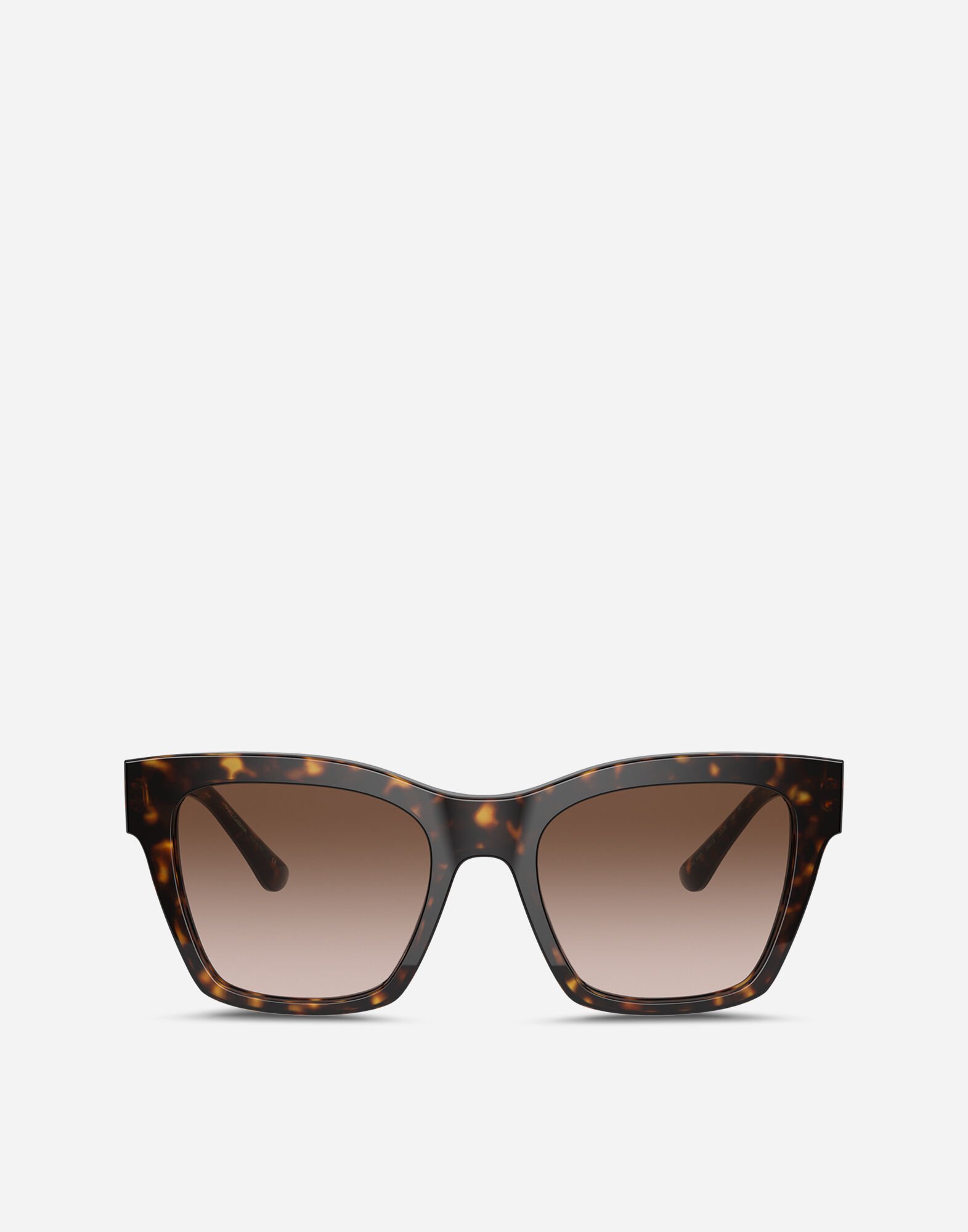 Print family sunglasses in HAVANA for Women Dolce Gabbana