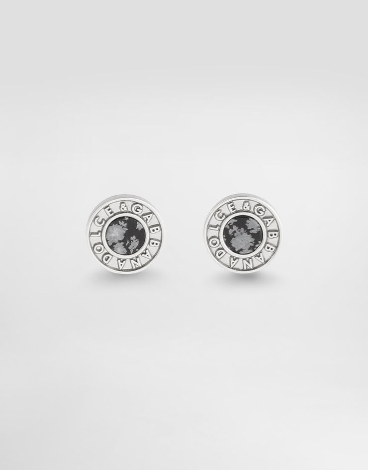 Dolce & Gabbana Dg logo and stone pin earrings Silver WER5X3W1111