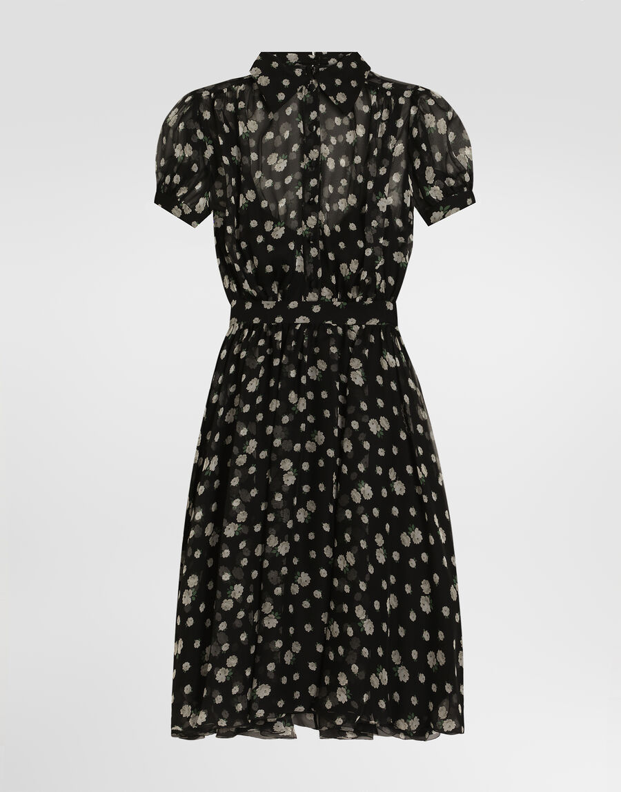 Small rose and polka dot-print chiffon dress