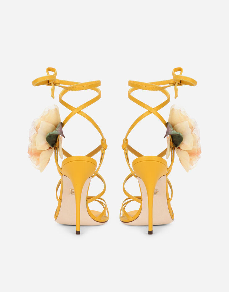 Dolce & Gabbana  YELLOW CR1153AO649