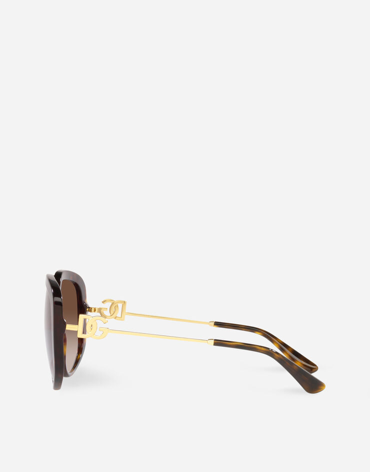 Dolce & Gabbana DD Light sunglasses Havanna VG442BVP213