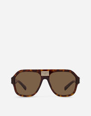 Dolce & Gabbana DG Plaque Sunglasses Brown VG446DVP271