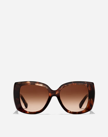 Dolce & Gabbana Everyday Sunglasses Havana on  carretto print VG4491VP713