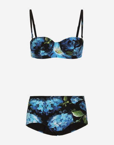 Dolce & Gabbana Bluebell-print balconette bikini with high-waisted bikini bottoms Print O9A13JONO19