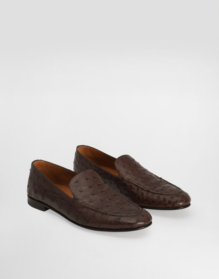 Dolce & Gabbana Ostrich leather slippers Brown A50716AE436