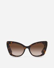 Dolce & Gabbana DG Crossed sunglasses Transparent camel VG4467VP203