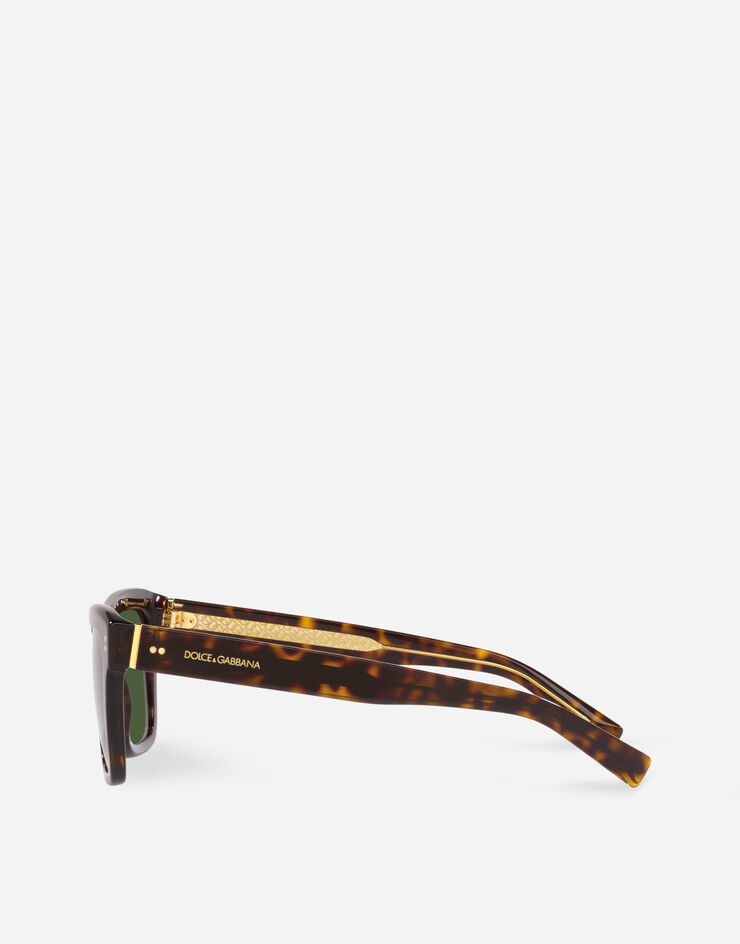 Dolce & Gabbana Domenico sunglasses Havana VG442AVP271