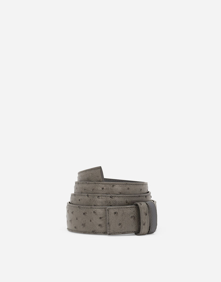 Dolce & Gabbana Ostrich leather belt strap Grey BC4803A8M90