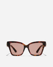 Dolce & Gabbana DG Precious sunglasses Havana pink pearl VG447AVP073
