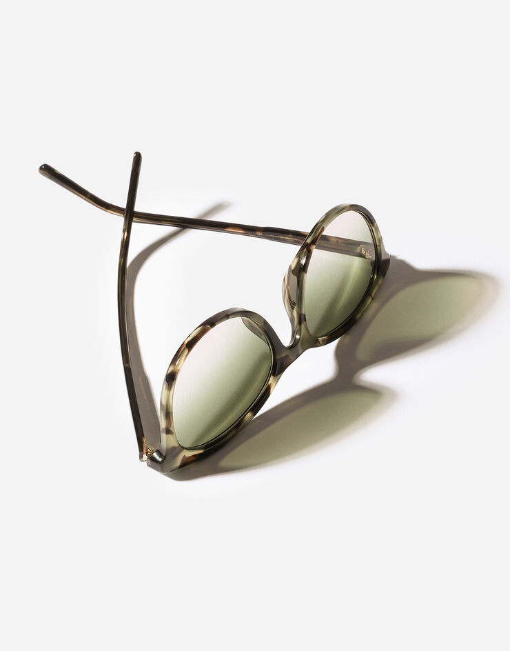 Dolce & Gabbana Everyday Sunglasses Dolce & Gabbana Everyday Sunglasses Green havana VG4540VP82C