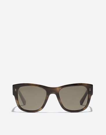 Dolce & Gabbana DNA Sunglasses Green havana VG4338VP003